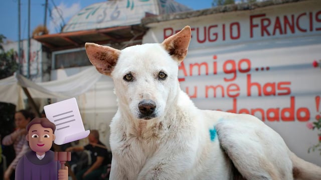 Predio en Cuajimalpa al Refugio Franciscano