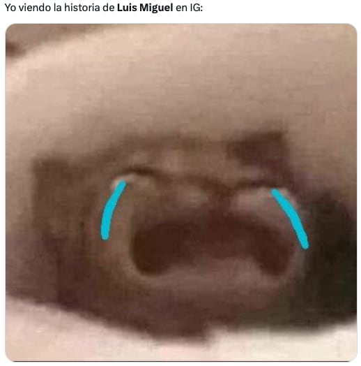 Reacciones por la foto de Luis Miguel y Marcela Basteri en el Día de las Madres