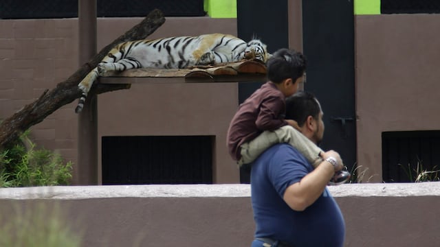 Un hombre pasea con su hijo por el Zoológico de San Juan de Aragón.
