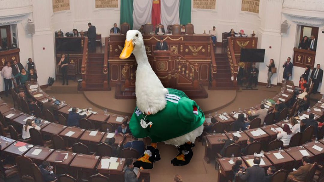 MC presenta la Ley Merlín para proteger al pato más famoso del Mundial 2026