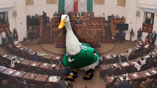 MC presenta la Ley Merlín para proteger al pato más famoso del Mundial 2026