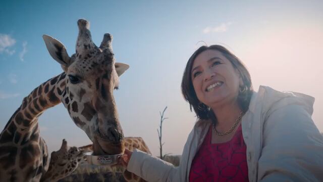 Xóchitl Gálvez visita a la jirafa Benito en Africam Safari y de colgada no la bajan