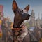 Festival del Xoloitzcuintle en CDMX 2026: fechas, sedes y actividades