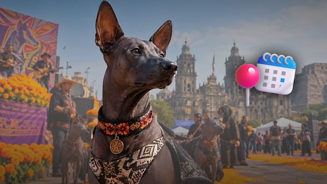 Festival del Xoloitzcuintle 2026 en CDMX
