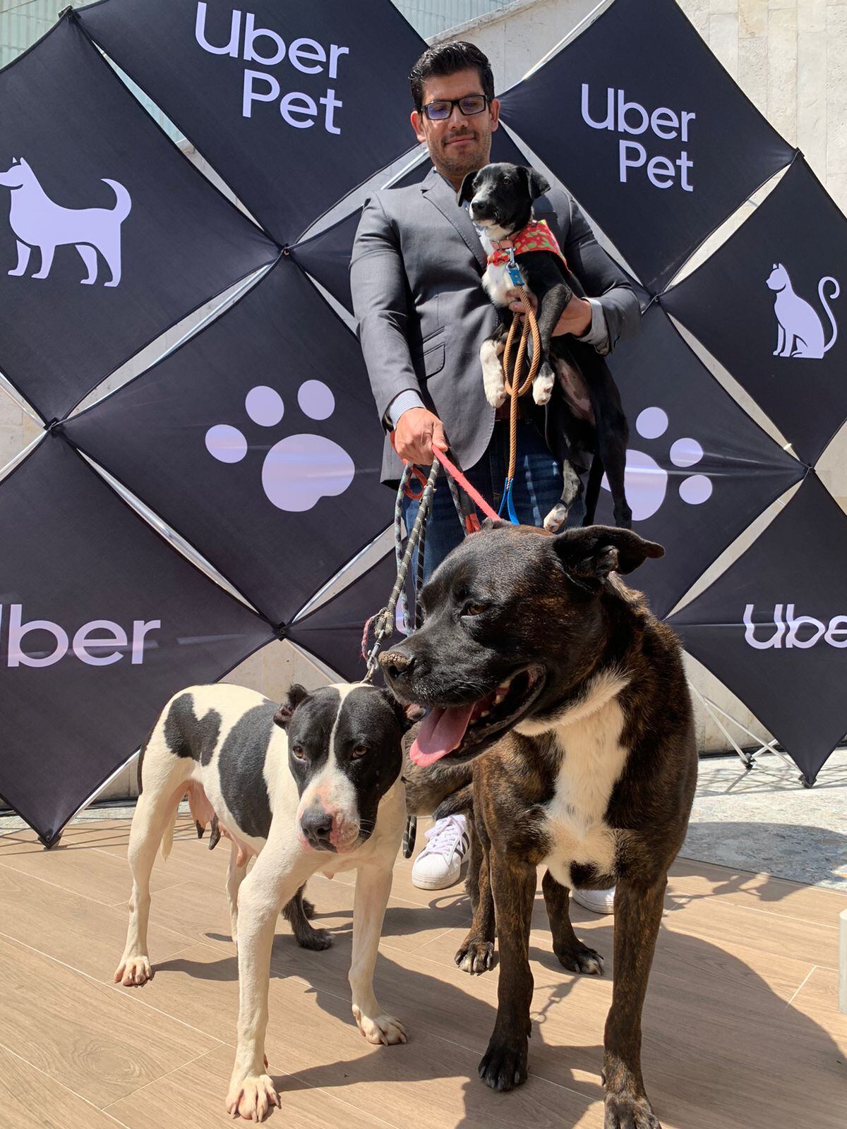 Uber presentó Uber Pet en CDMX