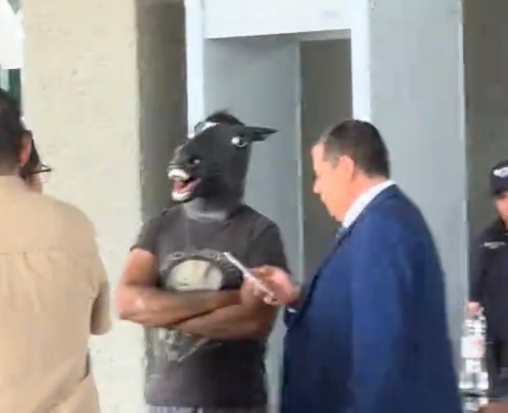 Luis, joven therian, busca implementar Ley Therian en Nuevo León