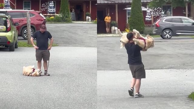 Perrito no quiso caminar más