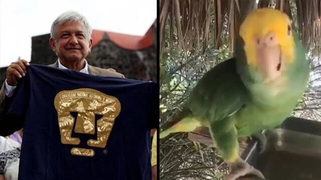 Críticos y aliados de AMLO repiten y repiten muchas veces sin entender