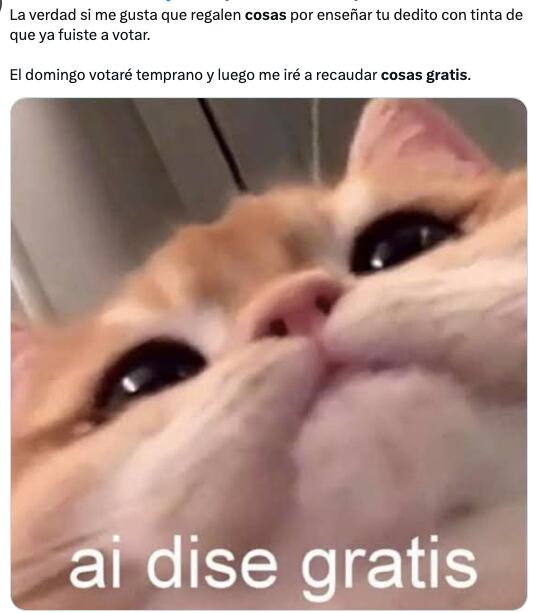 Los memes ya planean la ruta de cosas gratis por votar en estas elecciones del 2 de junio