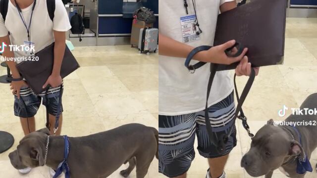Joven denuncia a Viva Aerobus en TikTok por no dejarlo subir a vuelo con su perro pitbull sin bozal