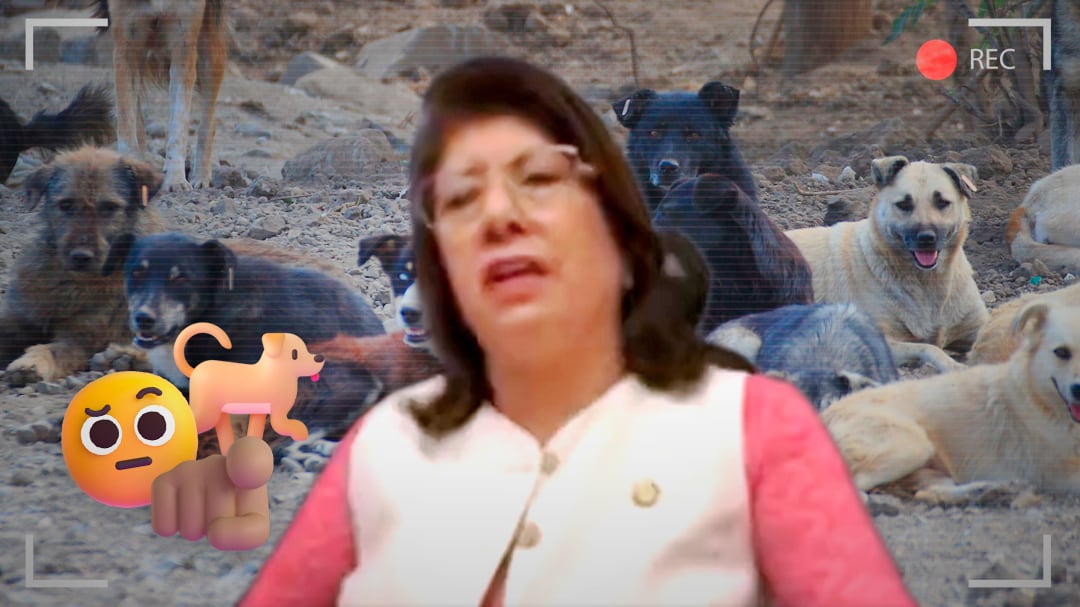 Mariela Gutiérrez ‘amenaza’ a animalistas por caso de perros en Tecámac