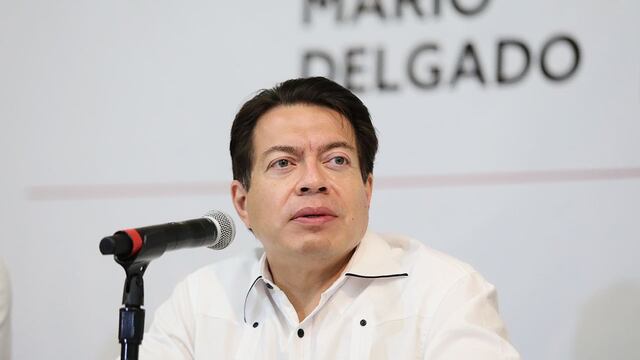 Mario Delgado Carrillo.