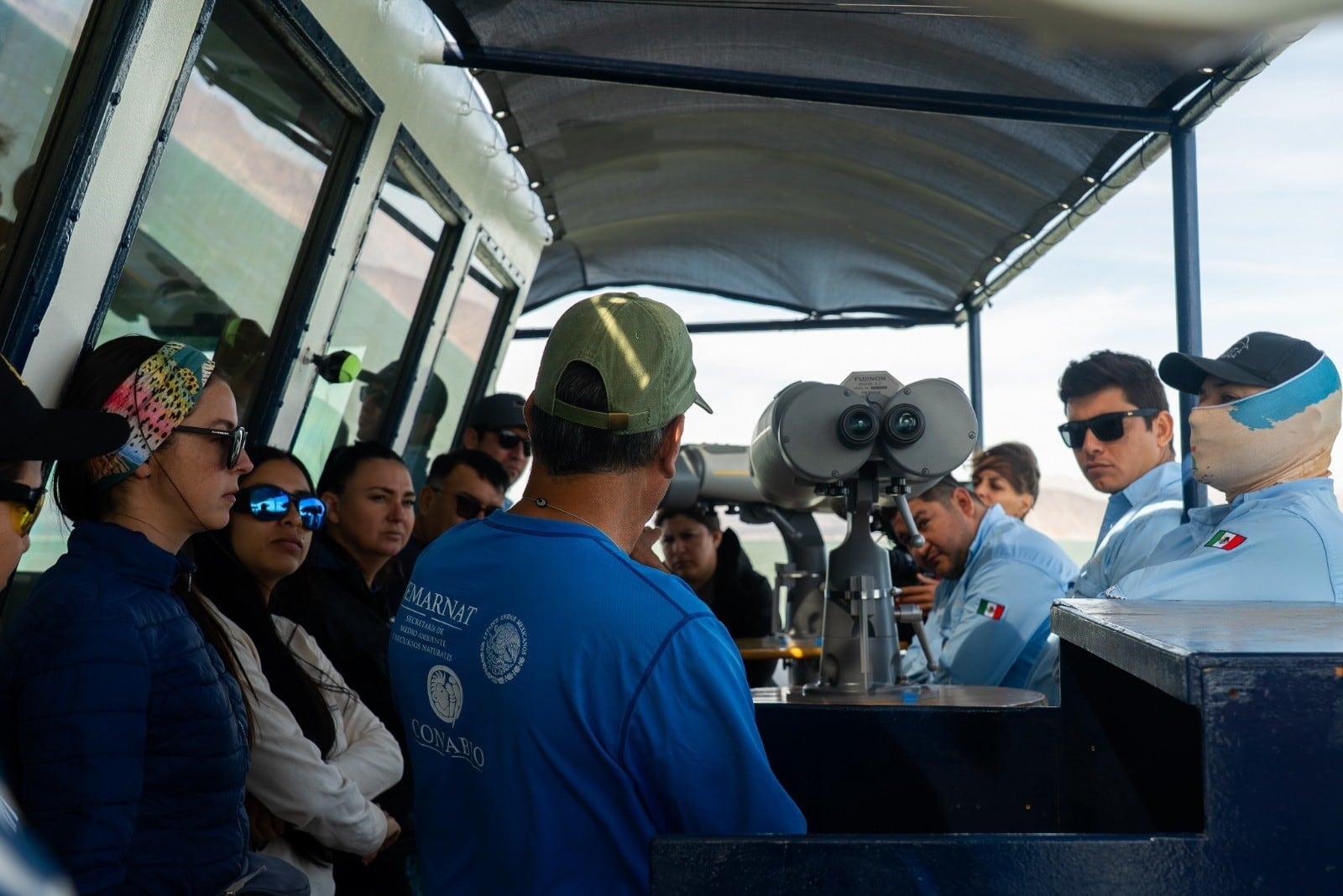 Conanp reporta avistamiento de tres vaquitas marinas; no pudieron fotografiarlas