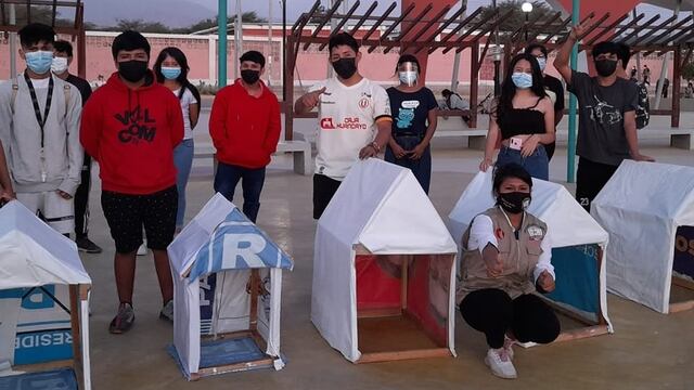 Jóvenes de Perú hacen casas para perritos con propaganda política