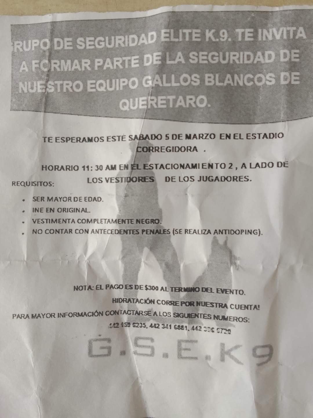 Seguridad K9