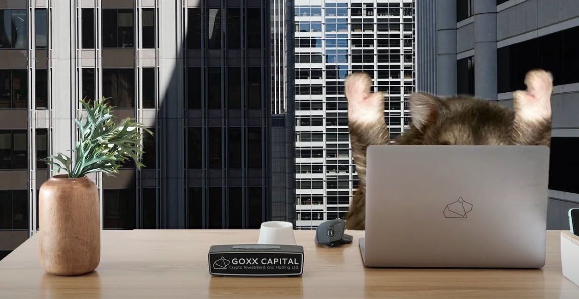 Mr. Goxx en su oficina