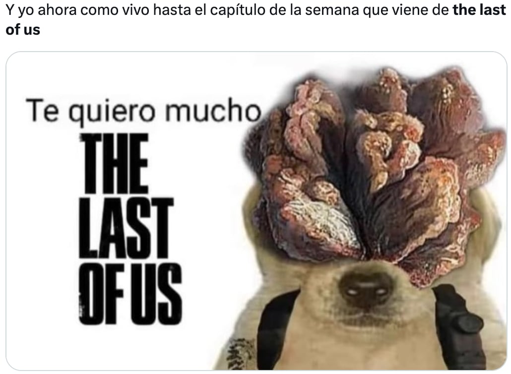 Memes lloran con Bella Ramsey el capítulo de The Last of Us