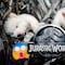 Jurassic World se burla de ‘resurrección’ del lobo terrible, un animal extinto hace miles de años