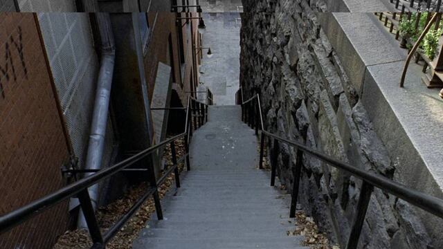 Ubicadas en Georgetown en Washington, estas escaleras de 75 escalones son declaradas oficialmente un atractivo turístico a la par del Capitolio y la Casa Blanca.