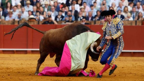 Morante de la Puebla sufre cornada en la Feria de Sevilla