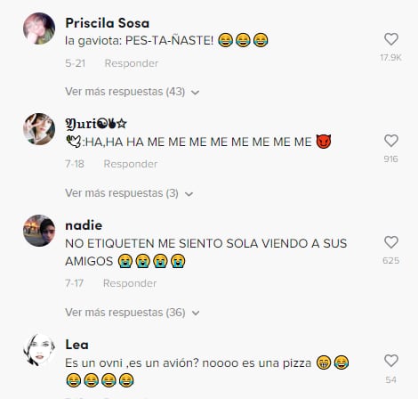 Reacción a la gaviota que se roba una pizza