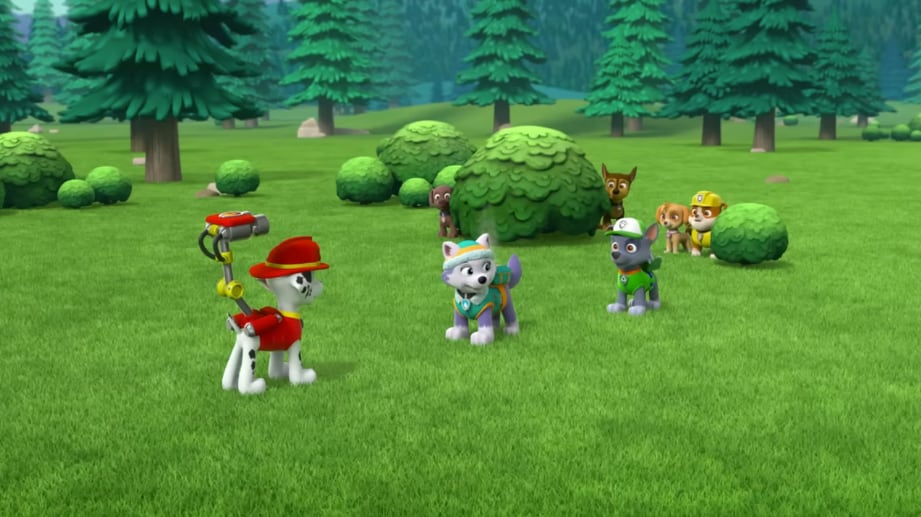 Paw Patrol por el Día del Niño