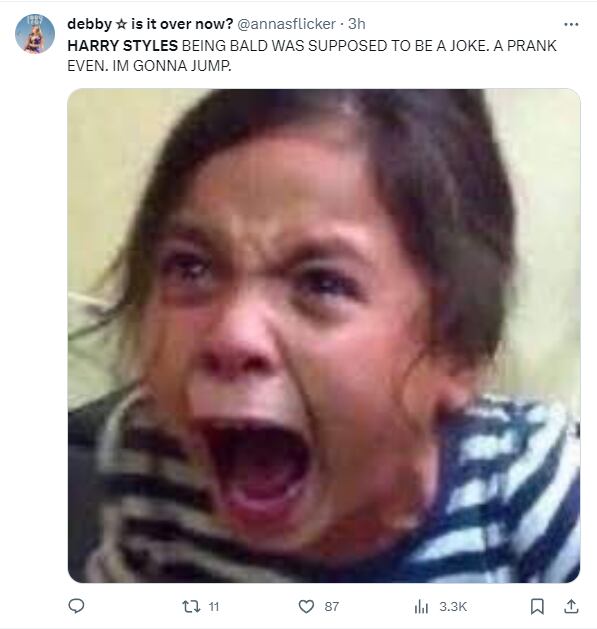 Memes por Harry Styles pelón