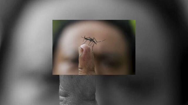 La estrategia cubrirá a una población de dos millones 120 mil personas y 124 mil manzanas y 224 mil casas en las siete regiones del estado.