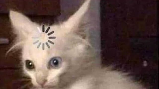 ¿Qué es la postración? La pregunta de Mi Vacuna que ha desatado los memes