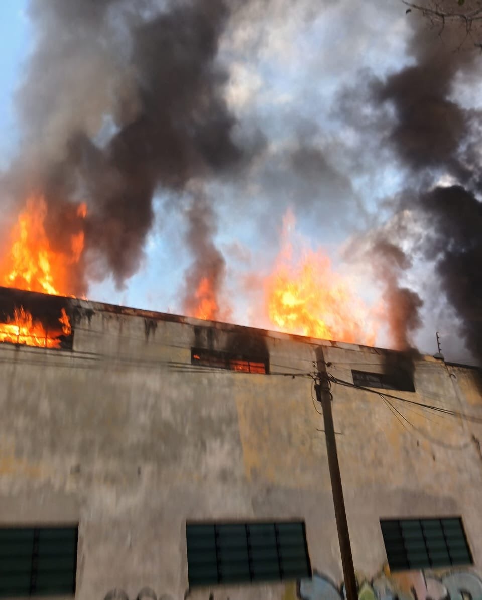 Incendio genera intensa movilización de bomberos en San Pedro de los Pinos