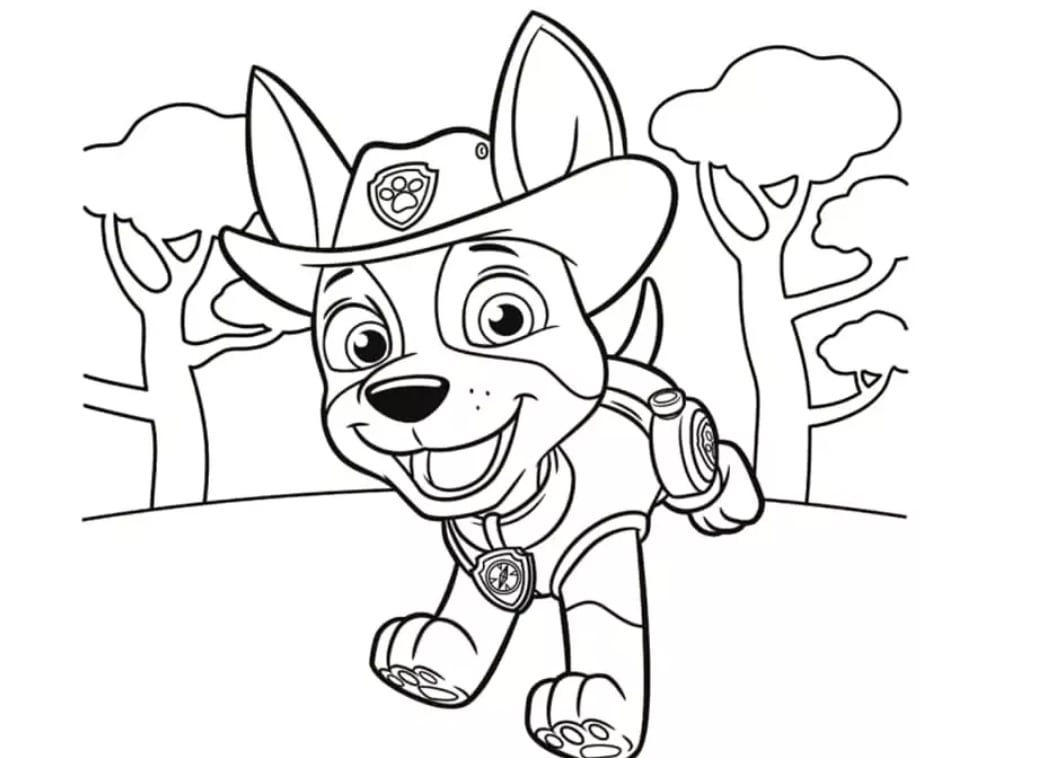 Tracker de Paw Patrol de primavera jugando en el bosque