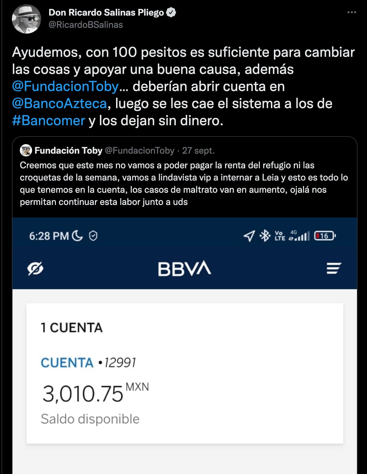 Fundación Toby, que rescata perritos, peligra por esta terrible razón