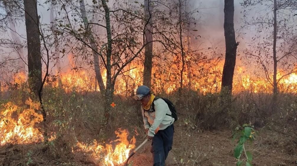 Tlaxcala incentiva estrategias de prevención de incendios forestales