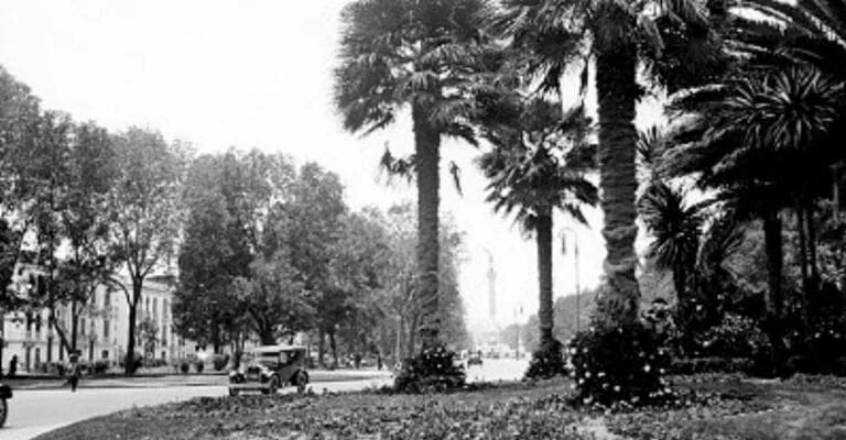 La palma ha sido fotografiada desde 1920