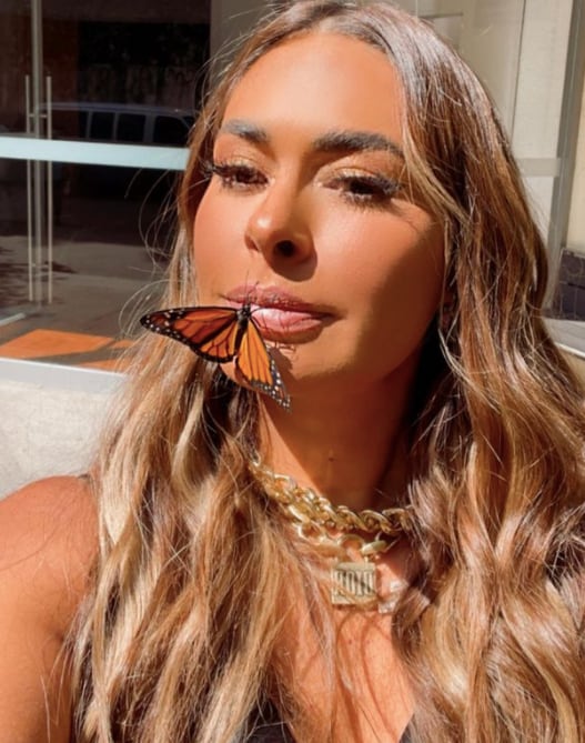 Mariposa se aferra al rostro de Galilea Montijo