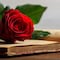 ¿Qué pasa el 23 de abril? Por esta razón se regalan libros y rosas en ese día