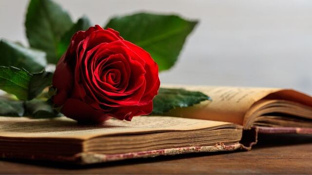 ¿Qué pasa el 23 de abril? Por esta razón se regalan libros y rosas en ese día