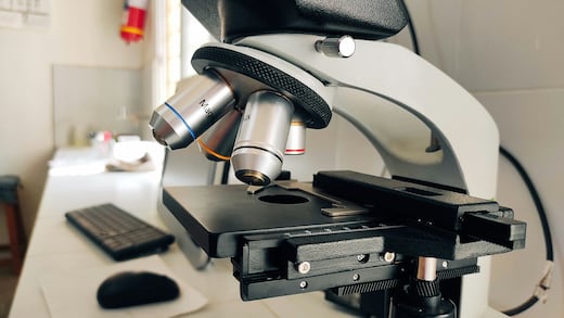 El declive científico de Estados Unidos frente a China