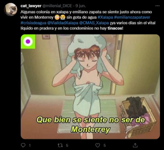 Memes tinacos