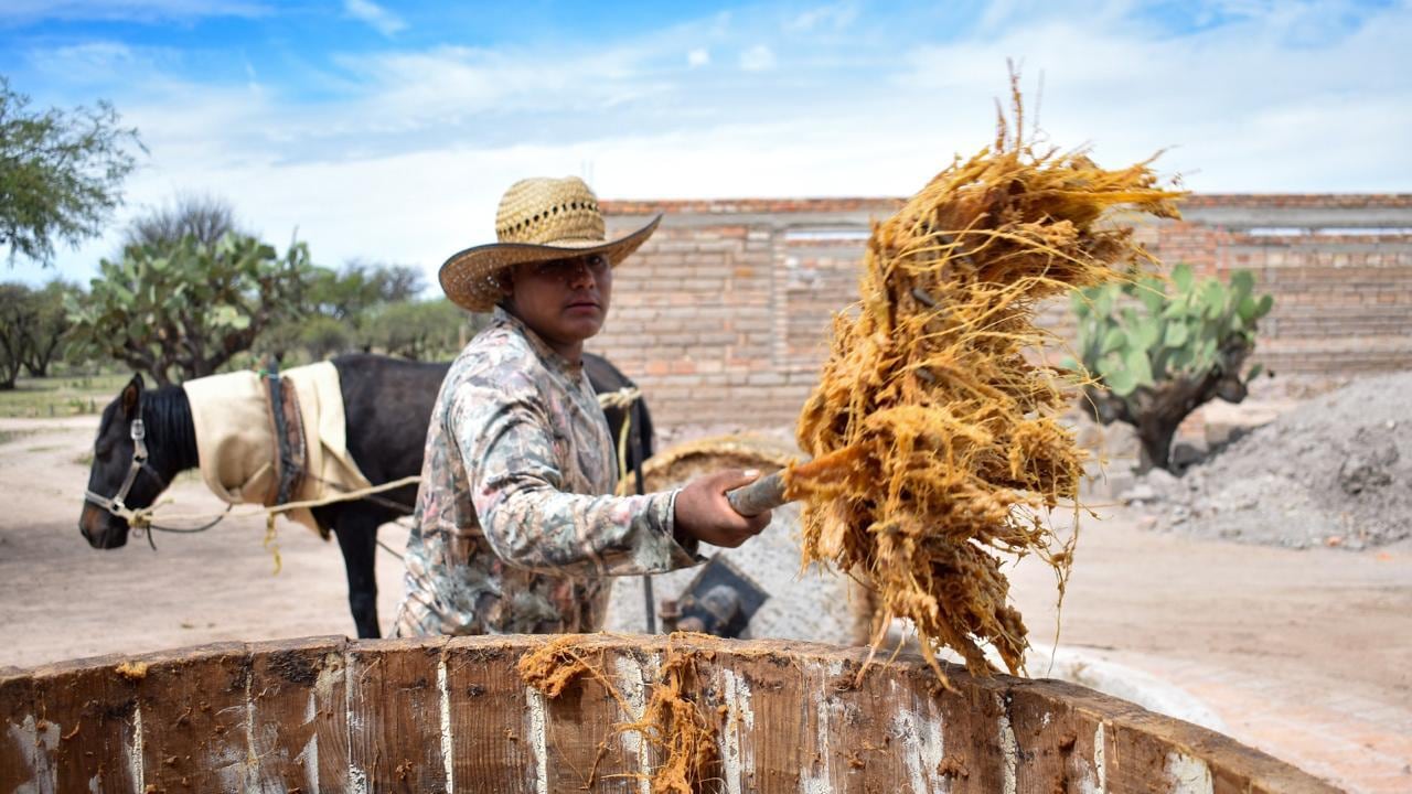 Mezcal Veneno del Alma de Aguascalientes gana Medalla Gran Oro en la Copa Mundo Agave 2025