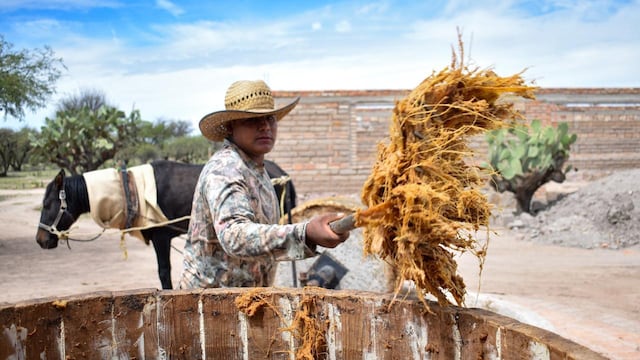 Mezcal de Aguascalientes es galardonado como uno de los mejores de México