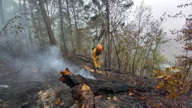 Controlan incendio en Sierra de Santiago