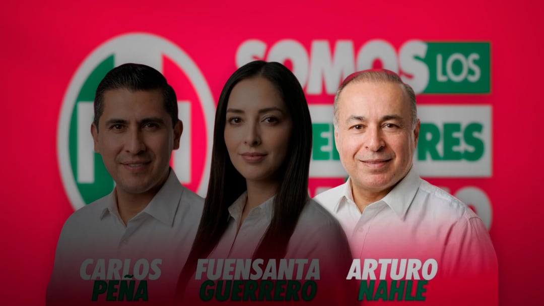 Hermano de Rocío Nahle aparece como ‘Defensor de México’ en el PRI