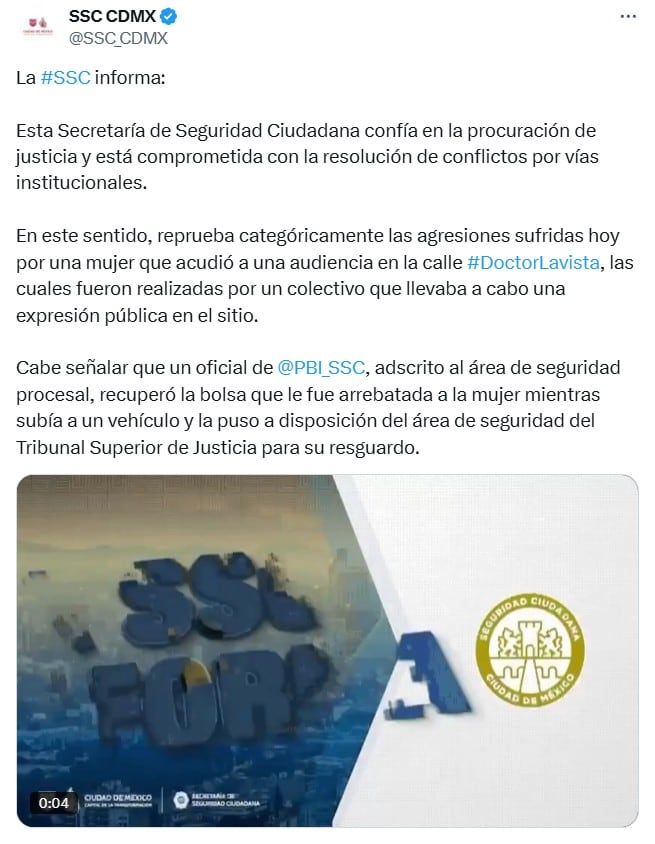 Secretaría de Seguridad sobre agresión a Ximena Pichel
