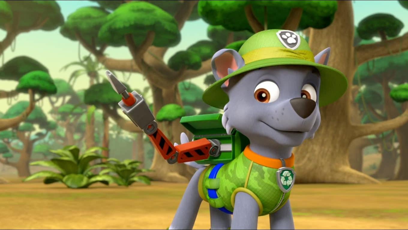 Rocky de Paw Patrol