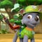 Dulceros de Rocky de Paw Patrol para el Día del Niño: 8 ideas bonitas y fáciles