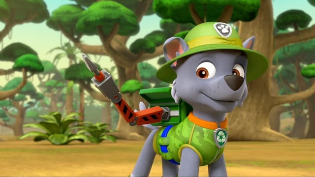 Rocky de Paw Patrol