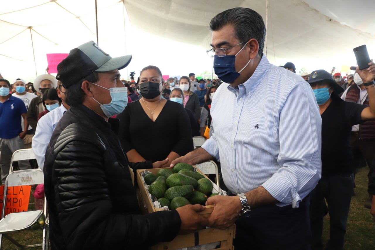 Sergio Salomón Céspedes garantiza apoyos al campo en Puebla sin tintes políticos ni intermediarios