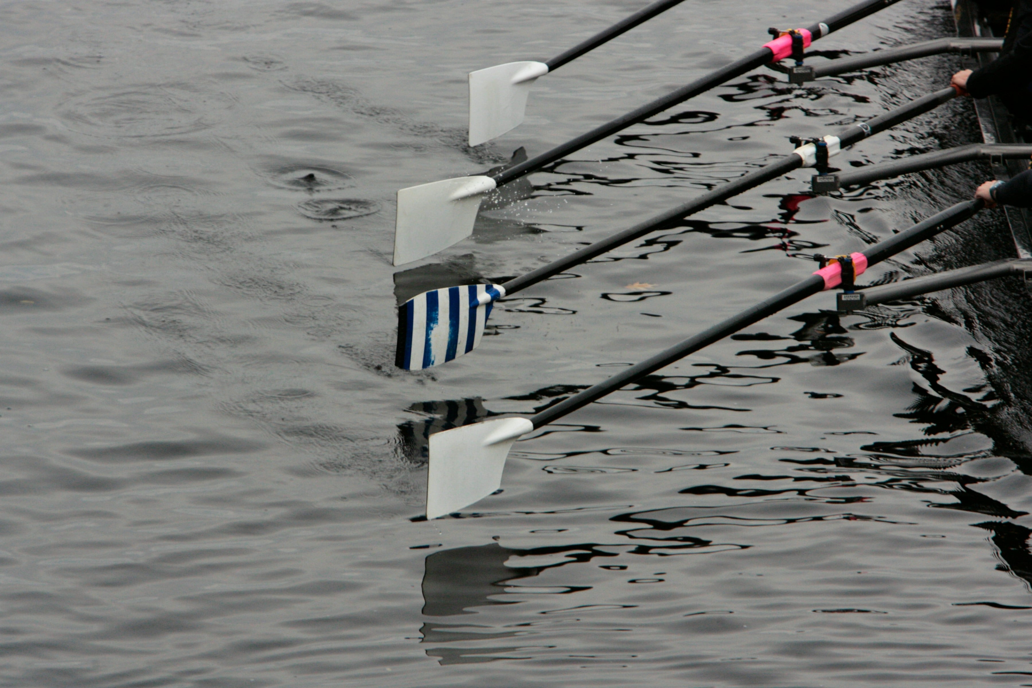 Este 11 de abril es el Día Internacional del Remero