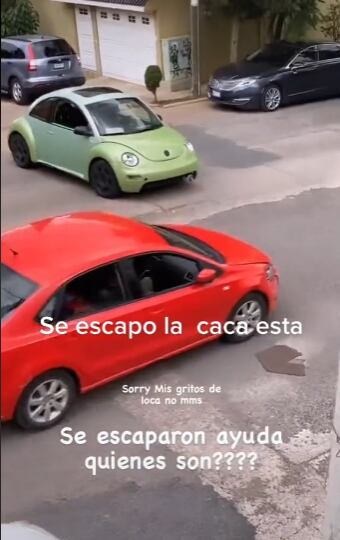 Se queja por choque frente a su casa; descubre que le pegaron a su coche